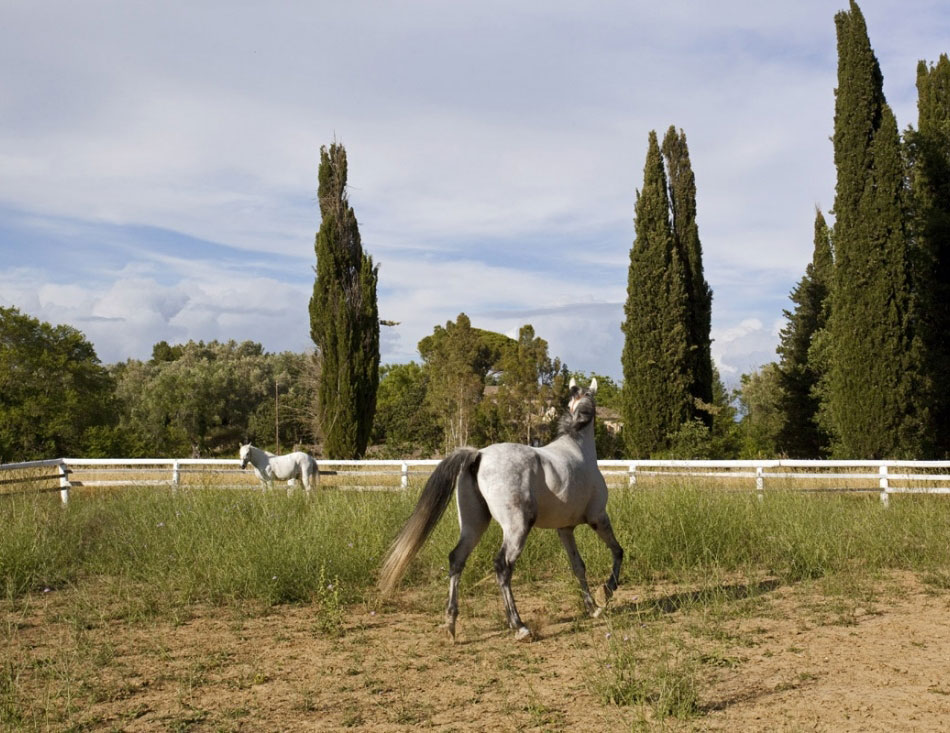 Δραστηριότητες στο Pelecas Country Club